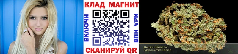 Какие есть наркотики Тайшет АМФ  МАРИХУАНА  APVP  Мефедрон  OMG ССЫЛКА  ГАШ 