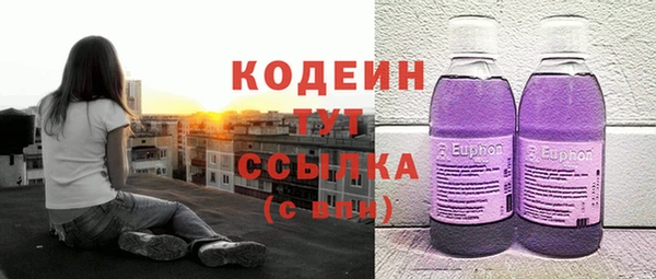 эйфоретик Аркадак