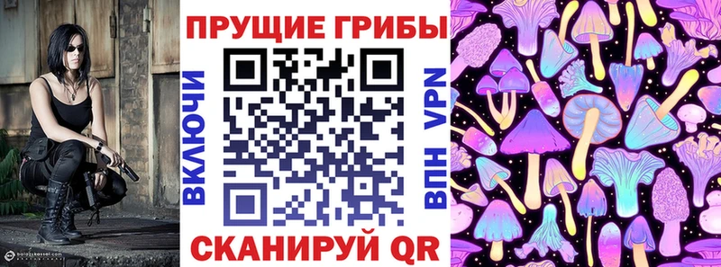 Галлюциногенные грибы мицелий  blacksprut как зайти  Тайшет  сколько стоит 