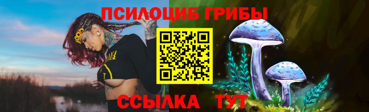Псилоцибиновые грибы Cubensis  Псилоцибиновые грибы GOLDEN TEACHER  Вход с VPN  купить наркотики цена  Тайшет 